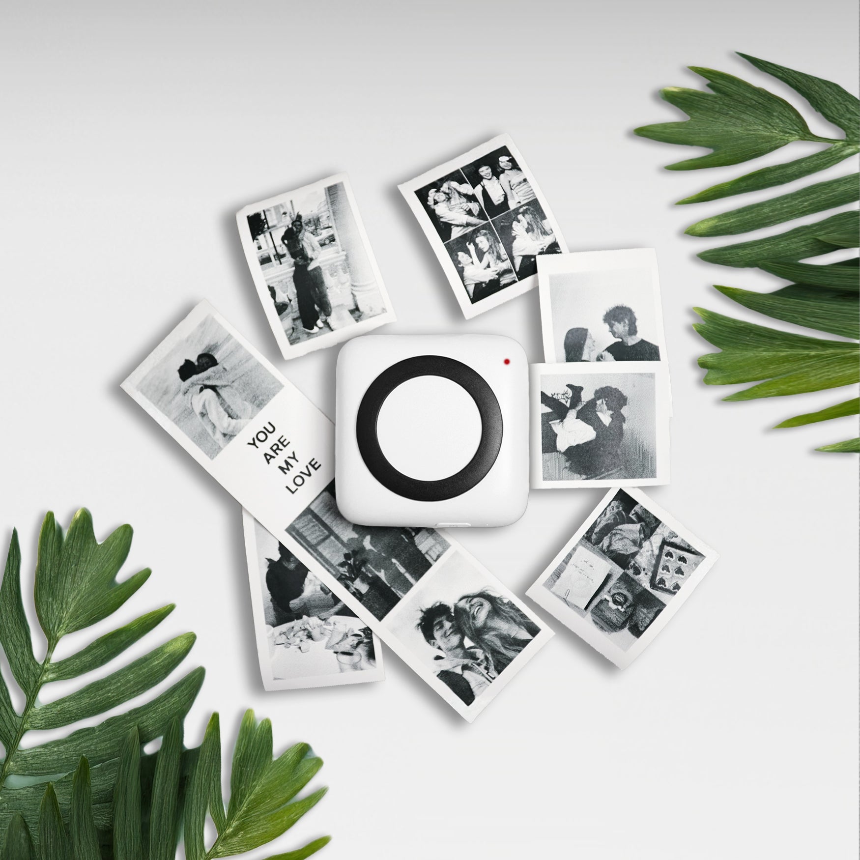 Mini Foto | Pola Tiskalnik